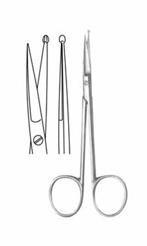 Dissecting Scissors
